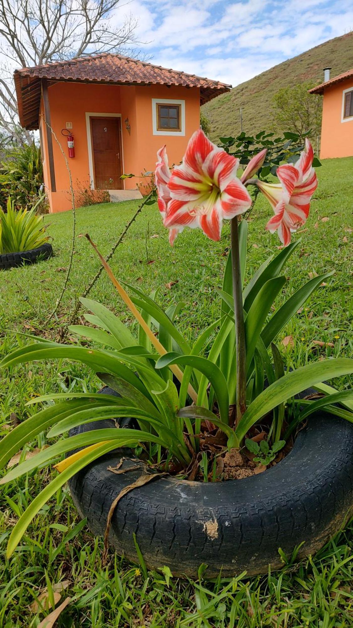 Inn Pousada Campestre Cunha-Sp