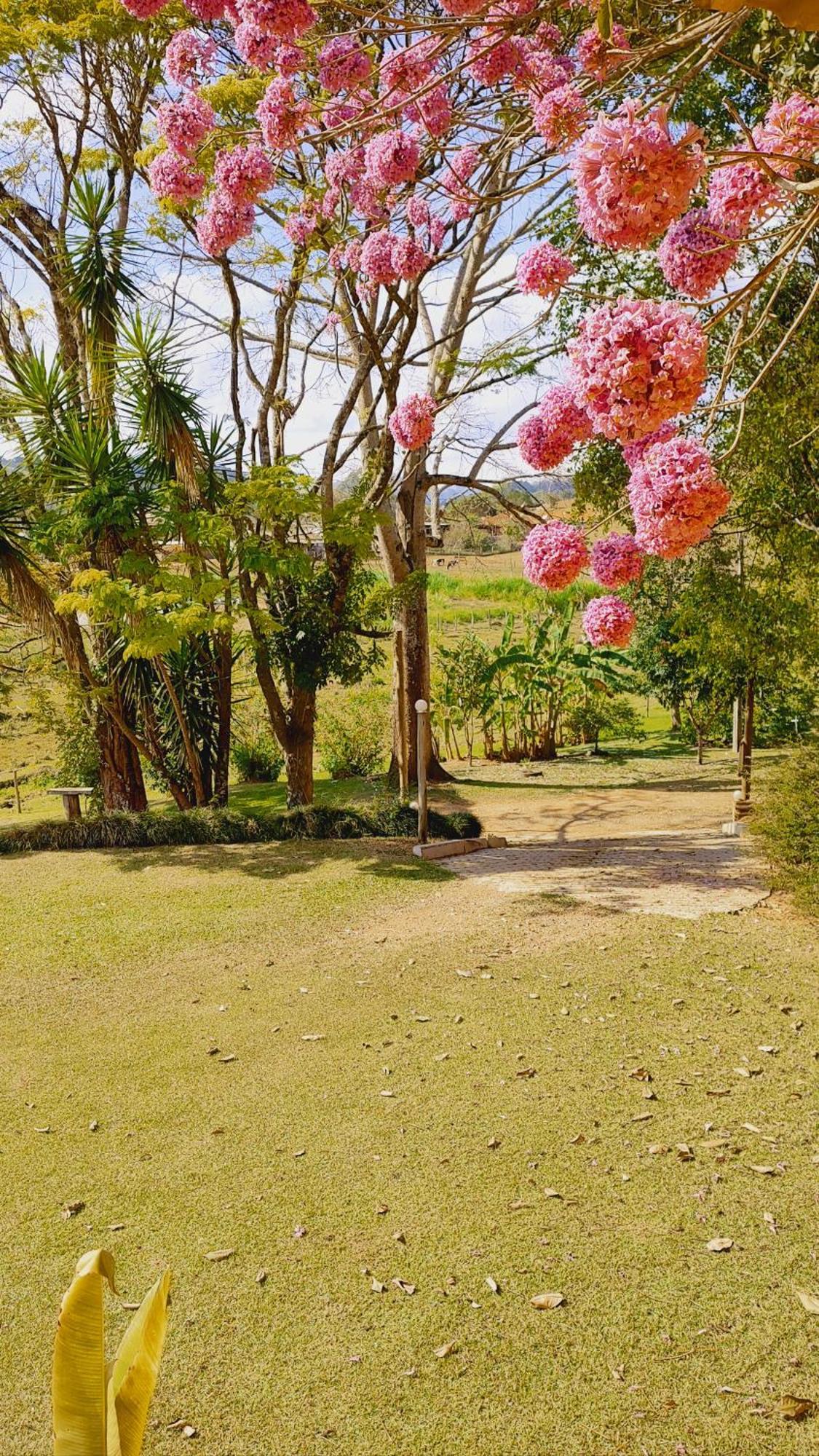 Pousada Campestre Cunha-Sp